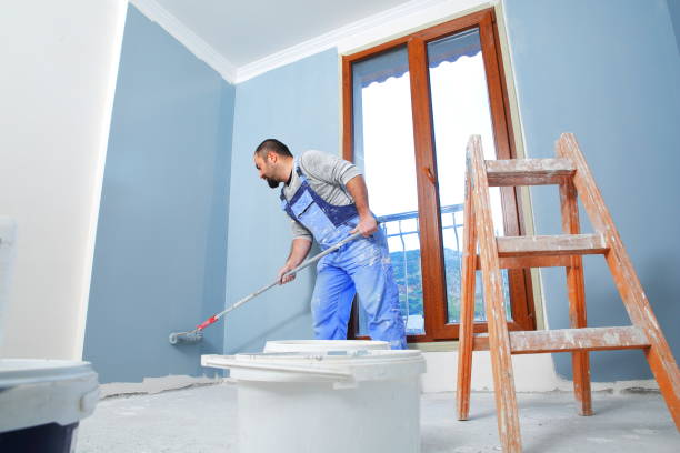 Best Post-Construction Mold Inspection  in Fountain, CO