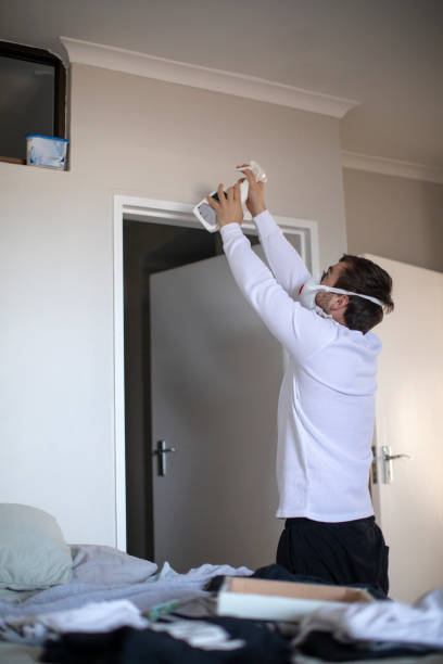 Best Attic Mold Removal  in Fountain, CO
