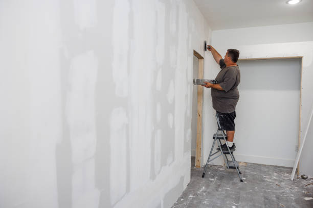 Best Mold Documentation for Insurance Claims  in Fountain, CO