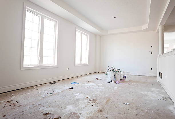 Best Basement Mold Removal  in Fountain, CO