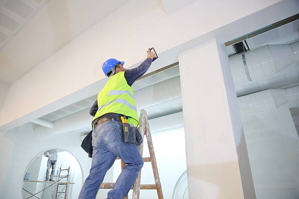 Best Commercial Mold Inspection  in Fountain, CO